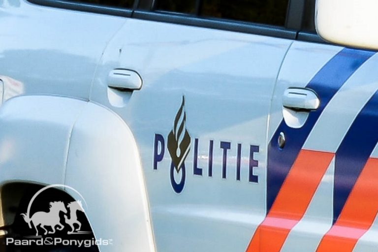 Politie arresteert man voor plegen van ontucht met pony