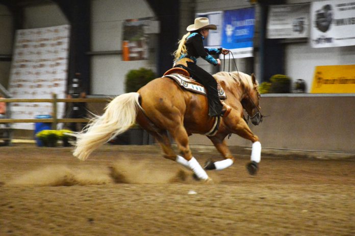 /images/Ricky Young  2015 Reining.jpg