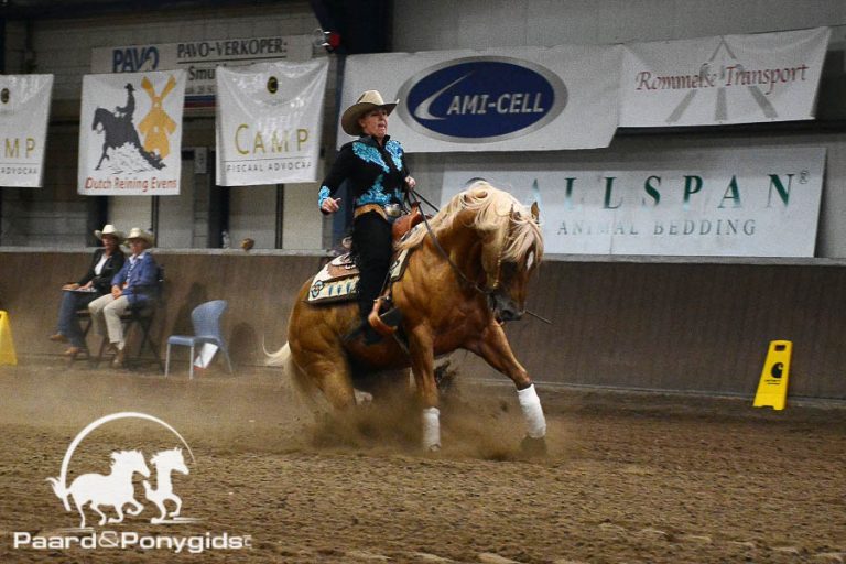 Organisatie NK Reining 2017 naar Dutch Reining Horse Association