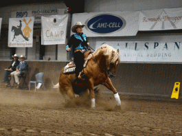 /images/Rieky Young Brady Chex NK Reining 2015.gif