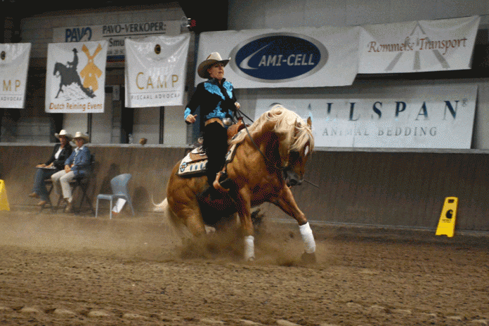 /images/Rieky Young Brady Chex NK Reining 2015.gif