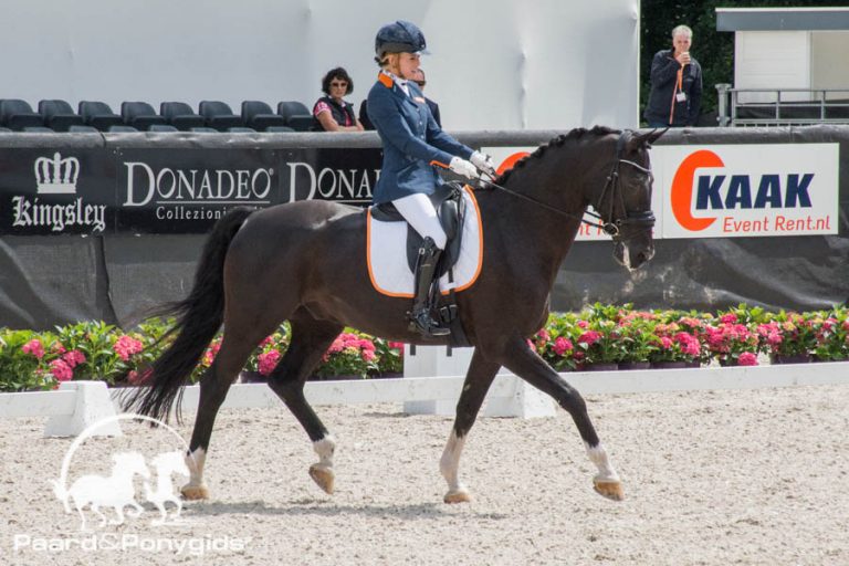 Succesvol  weekend voor para-dressuur amazones in Mannheim