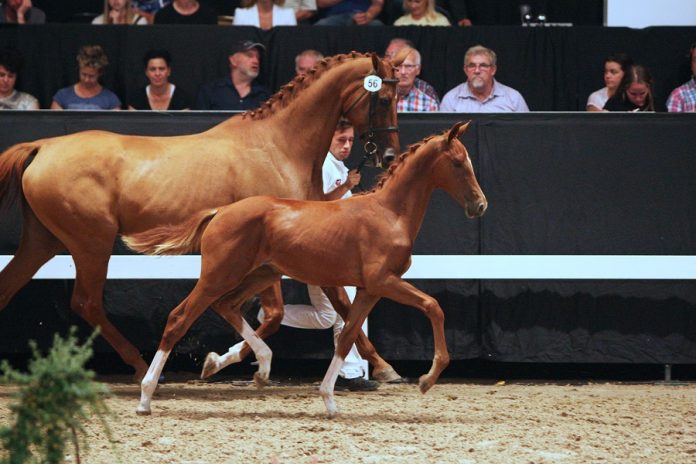 /nieuws/nieuws_img/SELL Lacieta S.jpg