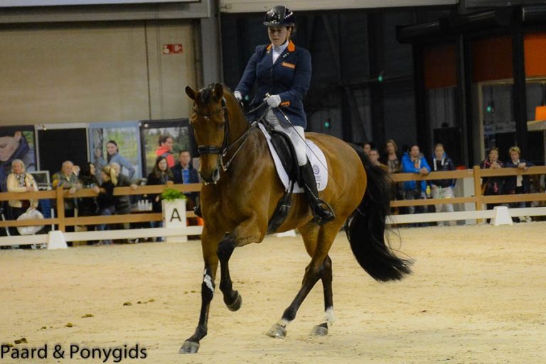 Para-dressuur: winst voor Vermeulen en Voets in Al Shaqab