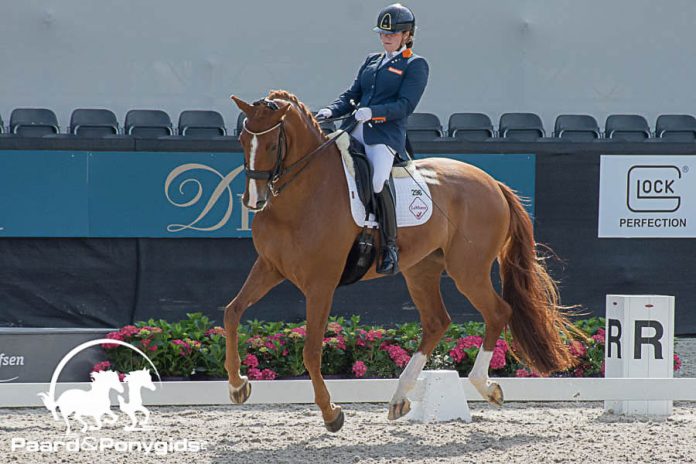 /images/Sanne Voets 17012017.jpg