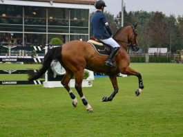 /images/Scott Brash.jpg