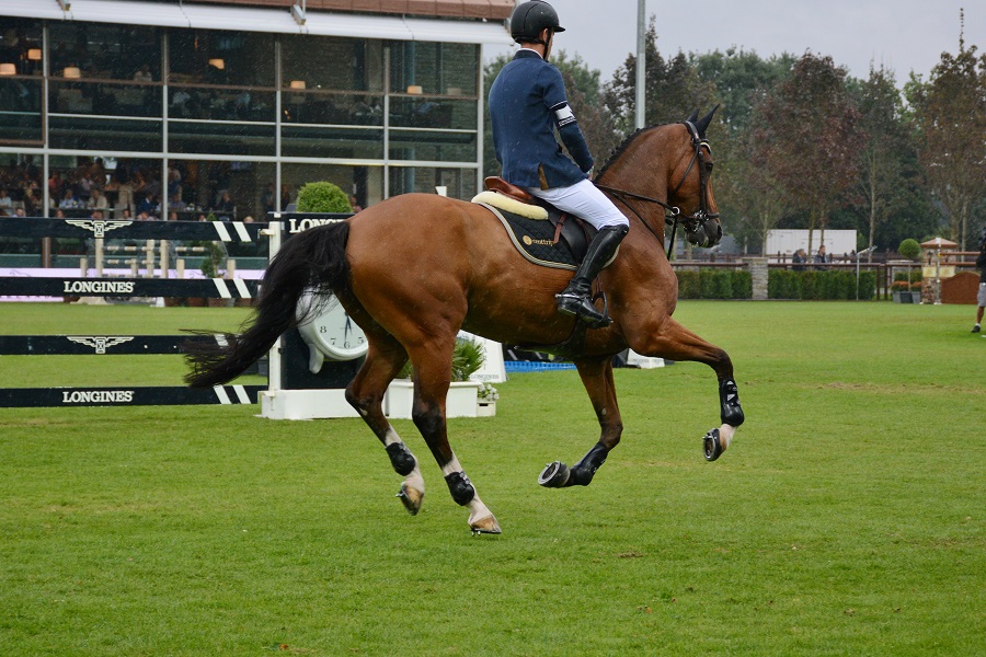 /images/Scott Brash 10112015.jpg /images/Scott Brash 10112015.jpg