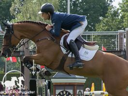 /images/Scott Brash 12092016.jpg