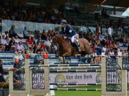/images/Scott Brash Hello Forever 13112015.jpg
