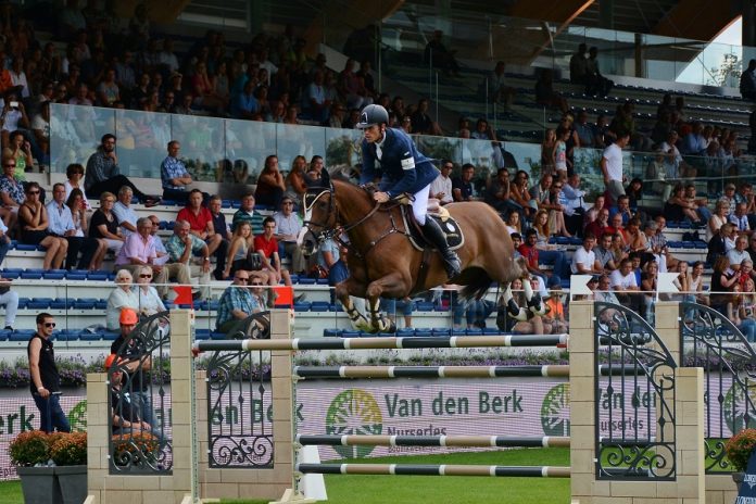 /images/Scott Brash Hello Forever 13112015.jpg