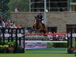 /images/Scott Brash_ Hello Forever.jpg