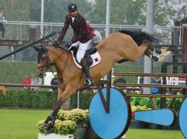 Sheikh Ali Bin Khalid Al Thani