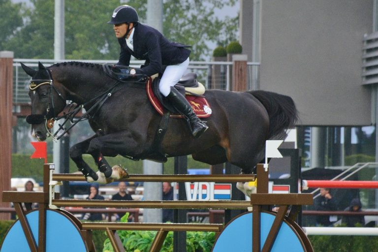 Wereldbekerwedstrijd Verona gewonnen door Simon Delestre