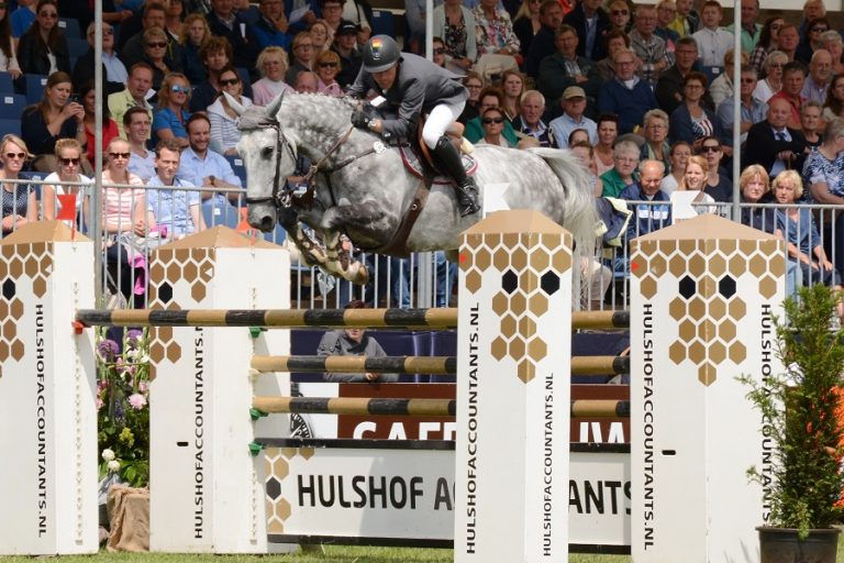 Roelofs Den Ham Prijs naar Thierry Goffinet