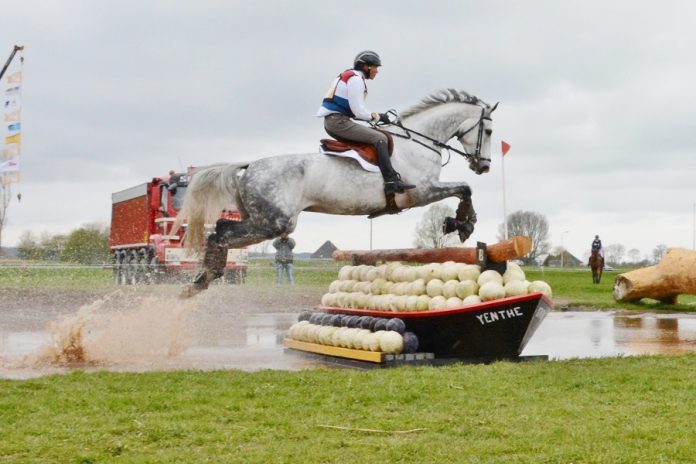 /images/Tim Lips_ Bayro.jpg