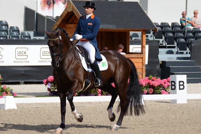 CDI Roosendaal: Tommie Visser en Vingino winnen ook de Freestyle
