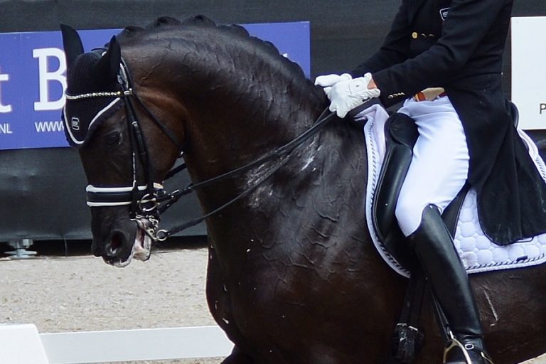 Nieuwe aftershave ruikt naar paardenzweet en mannengeur