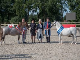 /nieuws/nieuws_img/Welsh Hamaland.jpg