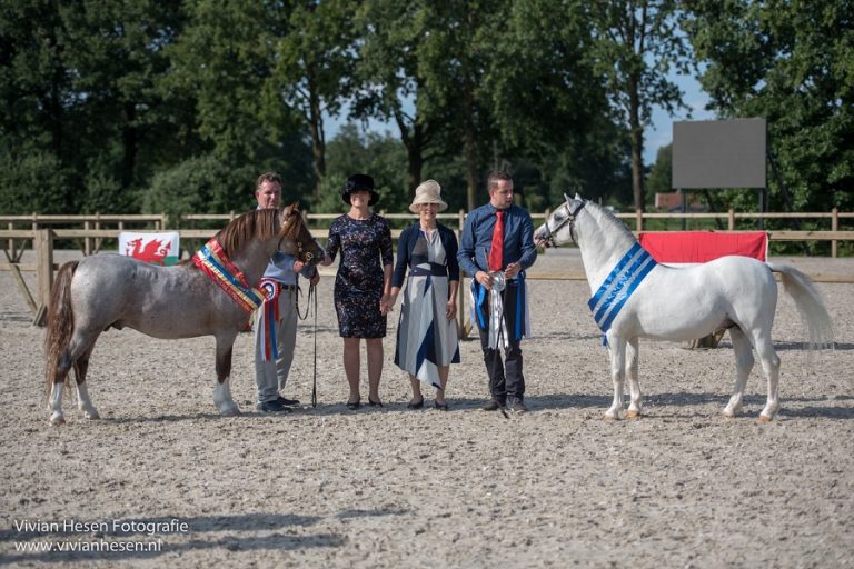 Derde editie Welsh Show Hamaland een succes