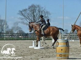 /images/Working Equitation 19062017.jpg
