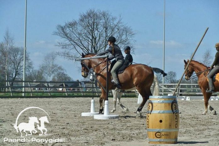 /images/Working Equitation 19062017.jpg