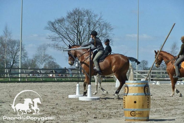 Circa 250 combinaties bezochten Paard & Leven 2017