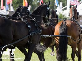 Driving Valkenswaard