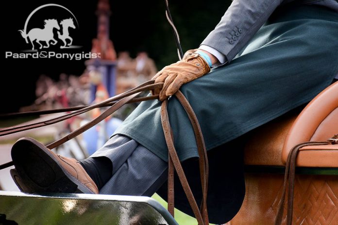 /images/aangespannen 15032016.jpg