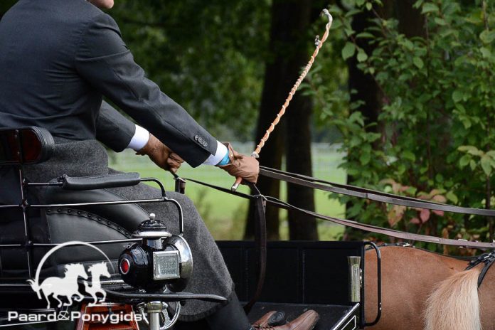 /images/aangespannen 16022017.jpg