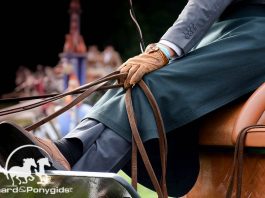 /images/aangespannen 24102016.jpg