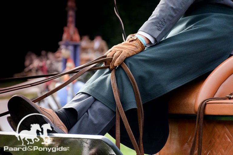 Jumping Mechelen: Boyd Exell wint, Koos de Ronde tweede