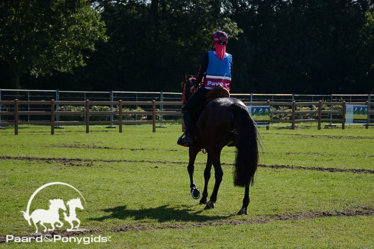Iris van der Horst nieuwe voorzitter KNHS Enduranceforum