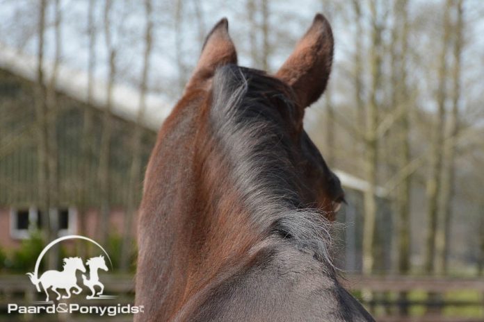 /images/algemeen 13102017.jpg