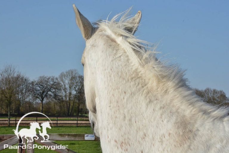 FNRS: wijzigingen noodmaatregelen coronavirus
