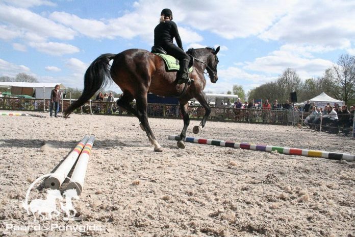 /images/algemeen 21042017.jpg