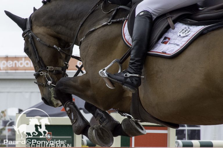 Philippe Houtackers kampioen B-springen voor paarden