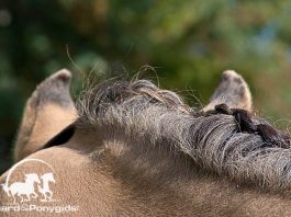 /images/algemeen 28092016.jpg