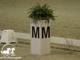 /images/algemeen dressuur 13032017.jpg