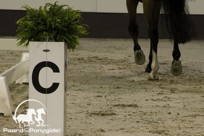 /images/algemeen dressuur 2017.jpg