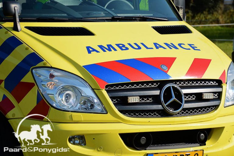 Vrouw zwaar gewond na ernstig ongeval met paardentram