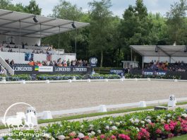 /images/arena 29072016.jpg