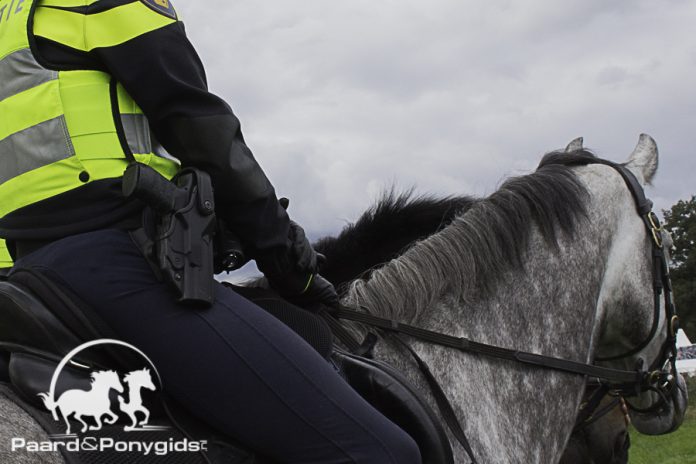 /images/bereden politie 25012017.jpg