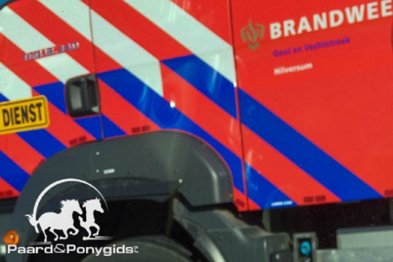 Brandweer redt paard uit gekantelde trailer op A12