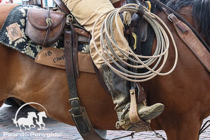 /images/cowboy 11062016.jpg