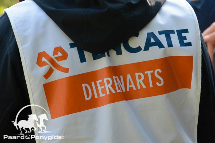 dierenarts