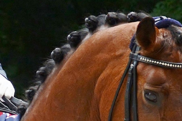 Spectaculair paardensculptuur rijst op uit rivier de Theems