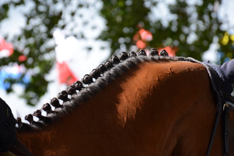 Paardenevenementen afgelast wegens zorgen om coronavirus