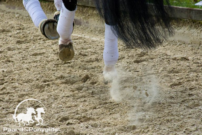 Rio 2016: Twee dressuurpaarden niet door Veterinaire keuring