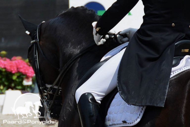 Nederlandse Young Riders kleuren top vijf in Hollandse driekleur