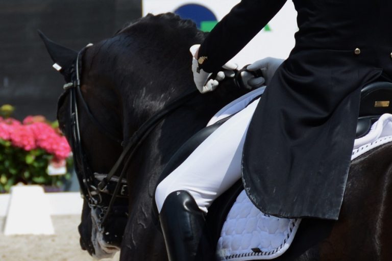 Ermelo: Witte-Vrees neemt met debutant Cennin de leiding